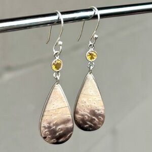 NEW! Palm Root Fossil Earrings